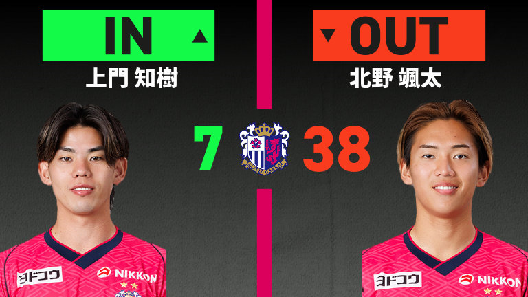 substitution